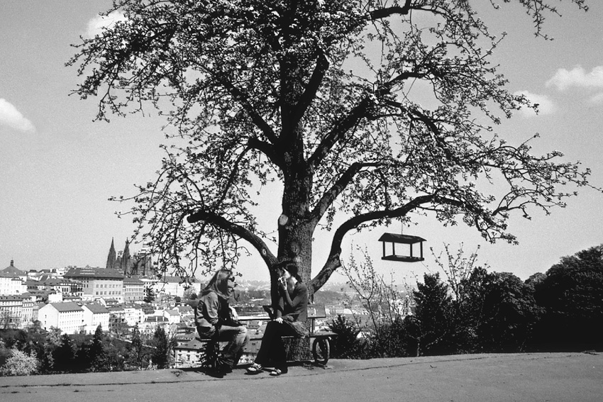 femmes prague petrin