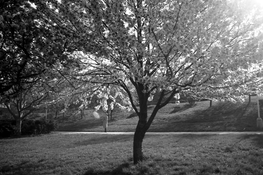 parc